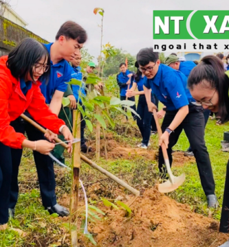 Dịch Vụ Trồng Cây Xanh Tại Thủ Dầu Một Bình Dương