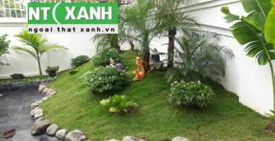 Dịch vụ trồng cây cảnh tại Dĩ An Bình Dương