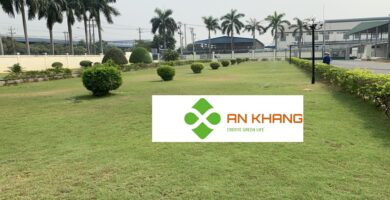 Dịch Vụ Chăm Sóc Cảnh Quan Tại KCN Dĩ An Bình Dương