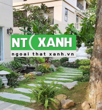 Dịch Vụ Trồng Cây Xanh Tại Trảng Bàng Tây Ninh