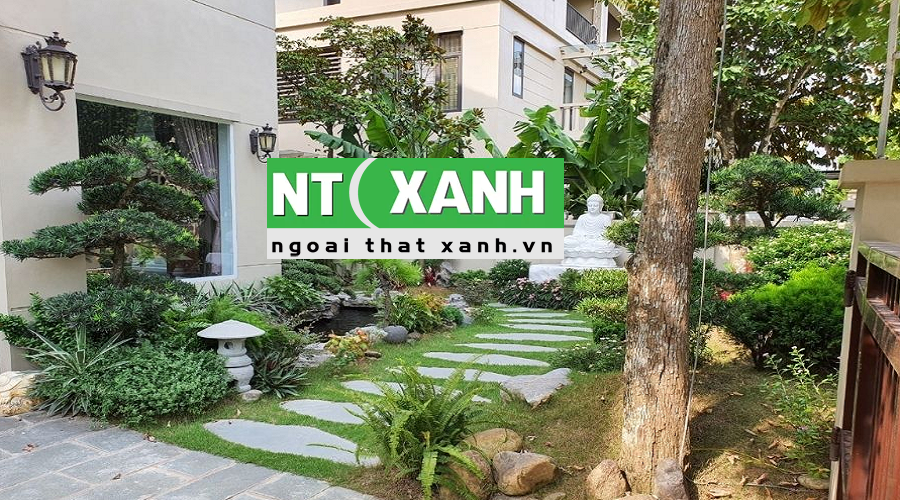 Dịch Vụ Trồng Cây Xanh Tại Trảng Bàng Tây Ninh