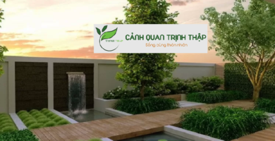 Thi Công Tiểu Cảnh Sân Vườn Tại Hà Nội