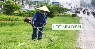 Dịch Vụ Phát Hoang Cỏ Dại KCN Tại Long An