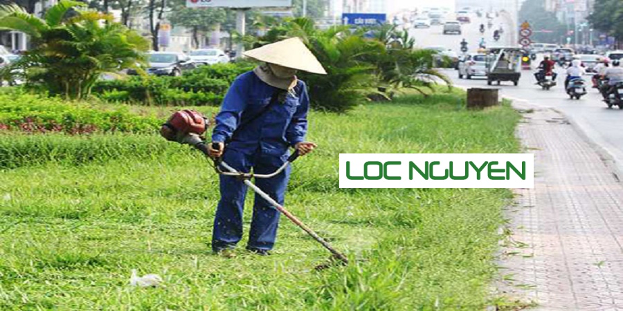 Dịch Vụ Phát Hoang Cỏ Dại KCN Tại Long An