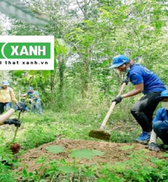Dịch Vụ Trồng Cây Xanh Tại Long An