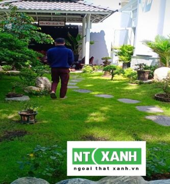 Dịch Vụ Trồng Cỏ Sân Vườn Tại Quận 2 TPHCM