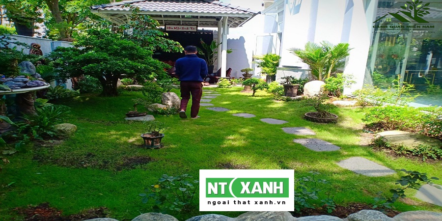 Dịch Vụ Trồng Cỏ Sân Vườn Tại Quận 2 TPHCM