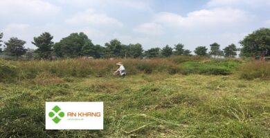 Dịch vụ phát cỏ hoang tại Bình Dương