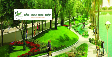Thiết Kế Sân Vườn Tại Hai Bà Trưng Hà Nội
