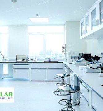 Vietnam Dental Laboratories District 11 Ho Chi Minh City