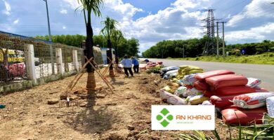Dịch Vụ Trồng Cây Xanh KCN Tại Bình Dương