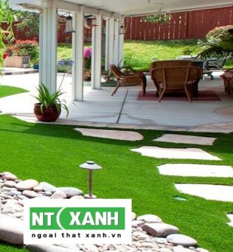 Dịch Vụ Trồng Cỏ Sân Vườn Bình Dương