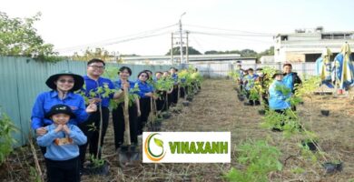Trồng Cây Xanh TP.HCM