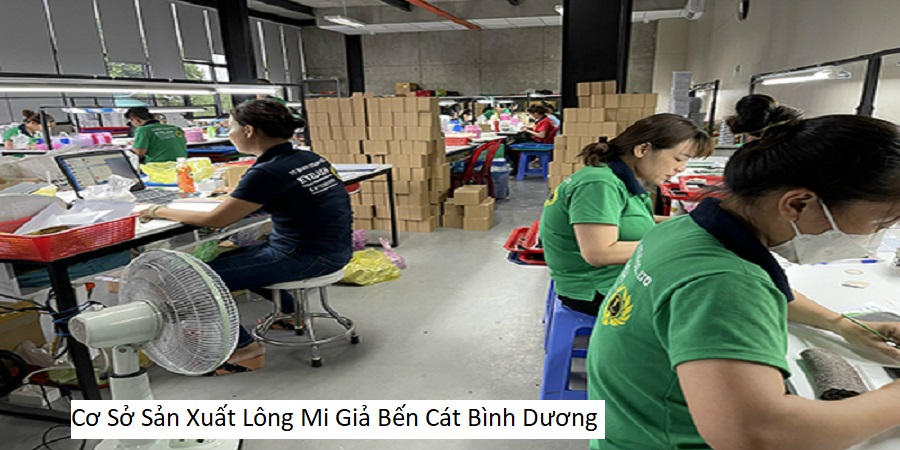 Cơ Sở Sản Xuất Lông Mi Giả Bến Cát Bình Dương