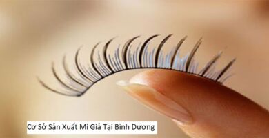 Cơ Sở Sản Xuất Mi Giả Tại Bình Dương