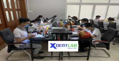 Introduction to the Vietnamese Dental Laboratory