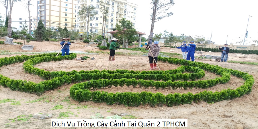 Dịch Vụ Trồng Cây Cảnh Tại Quận 2 TPHCM