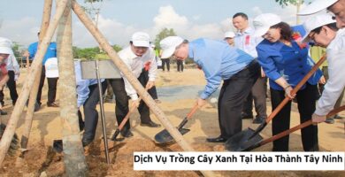 Dịch Vụ Trồng Cây Xanh Tại Hòa Thành Tây Ninh