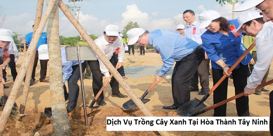 Dịch Vụ Trồng Cây Xanh Tại Hòa Thành Tây Ninh