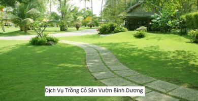 Dịch Vụ Trồng Cỏ Sân Vườn Bình Dương