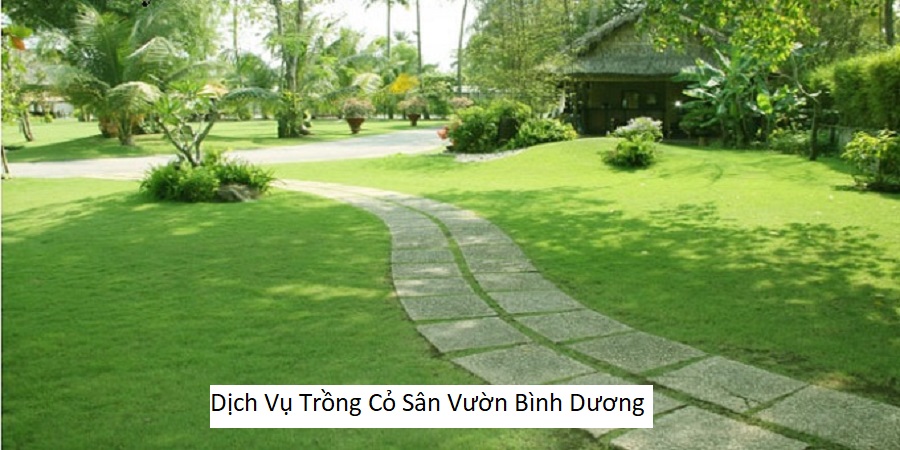 Dịch Vụ Trồng Cỏ Sân Vườn Bình Dương