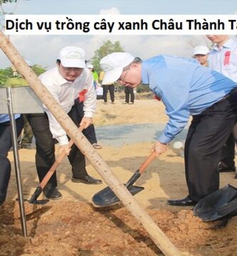 Dịch vụ trồng cây xanh Châu Thành Tây Ninh