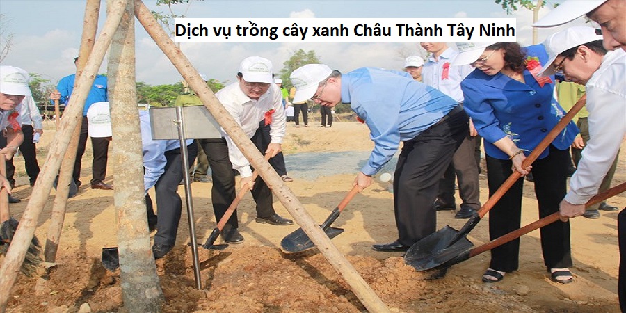 Dịch vụ trồng cây xanh Châu Thành Tây Ninh