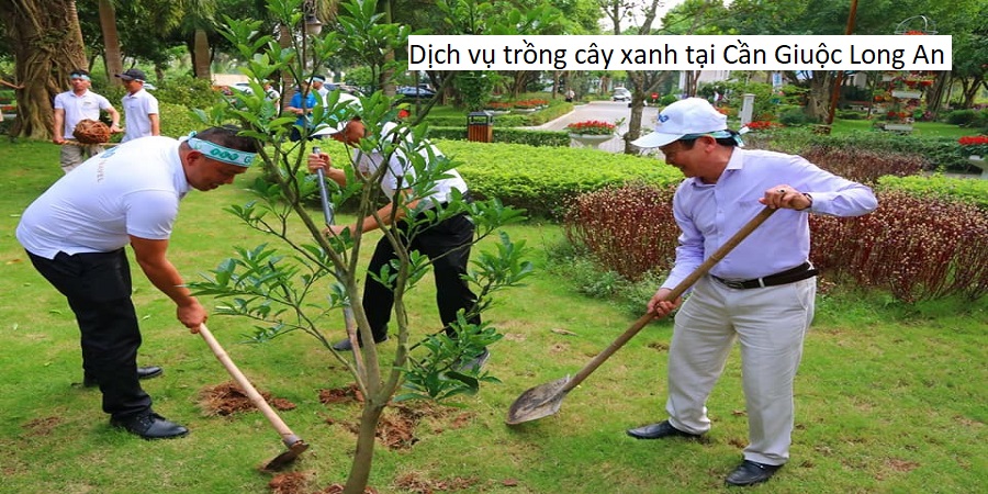 Dịch vụ trồng cây xanh tại Cần Giuộc Long An