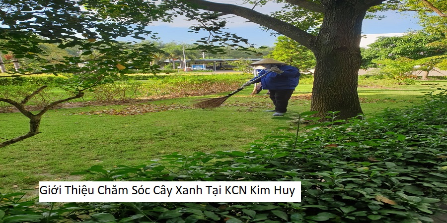 Giới Thiệu Chăm Sóc Cây Xanh Tại KCN Kim Huy