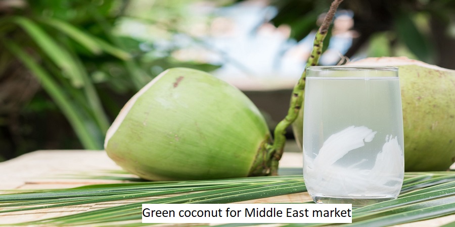 Green coconut for Middle East market