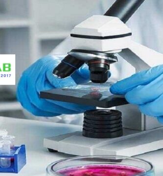 Lab to Lab Services district 8 Ho Chi Minh