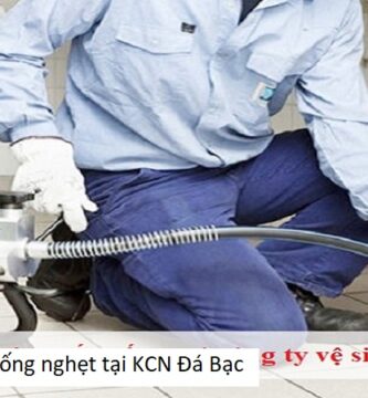 Thông cống nghẹt tại KCN Đá Bạc