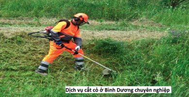 Dịch vụ cắt cỏ ở Bình Dương chuyên nghiệp