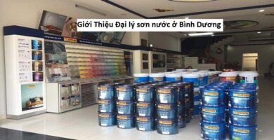 Giới Thiệu Đại lý sơn nước ở Bình Dương